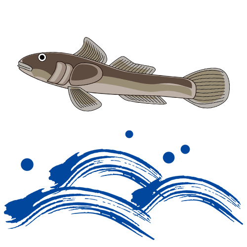 東和サーキット とわっぴぃ 第2位 はぜの泳ぐ姿